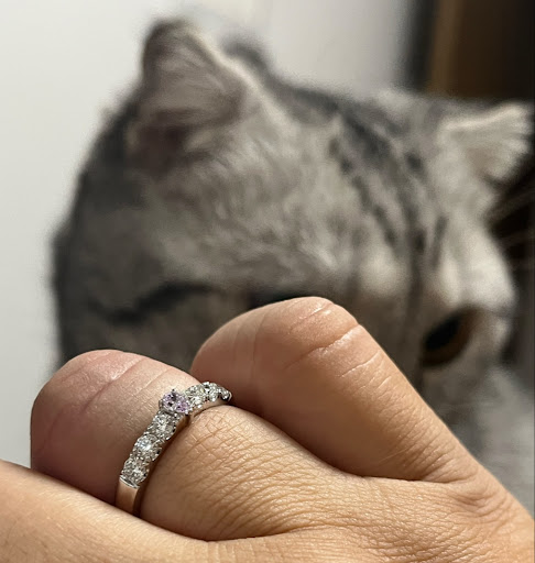 Photo from customer review